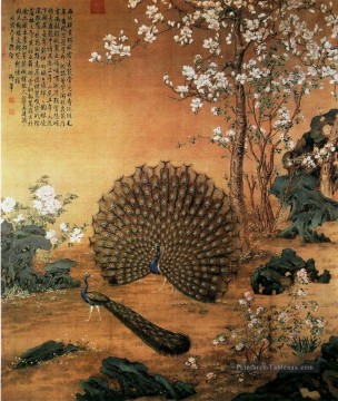  cock - Lang brillant Proudasa Peacock chinois traditionnel